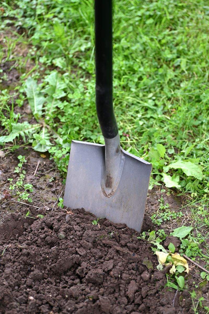 みどり彩園株式会社 5
